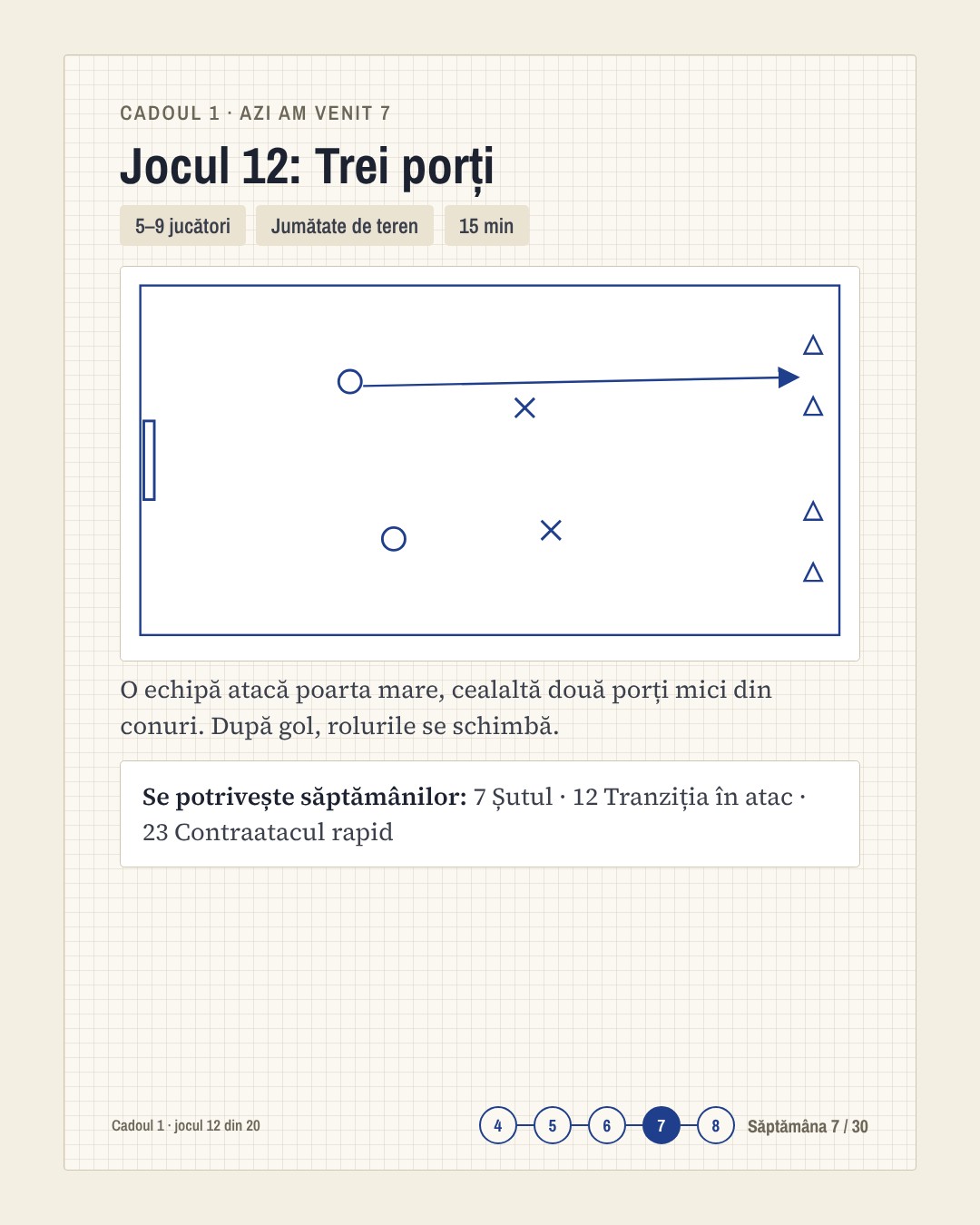 Exemplu de pagină 3